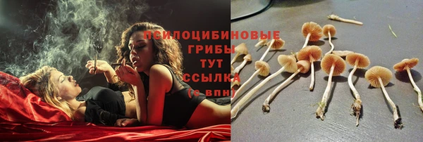 дурь Лихославль