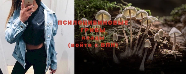 дурь Лихославль