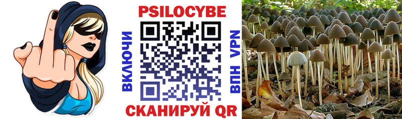 Купить закладки  Разумное  Псилоцибиновые грибы мицелий 